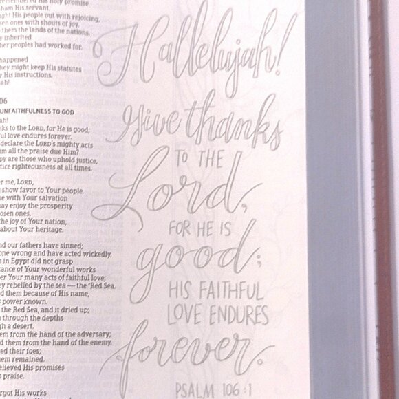 Illustrator's Notetaking (Coloring) Bible (HCSB) British Tan Leather Touch ~ NEW - Picture 10 of 13